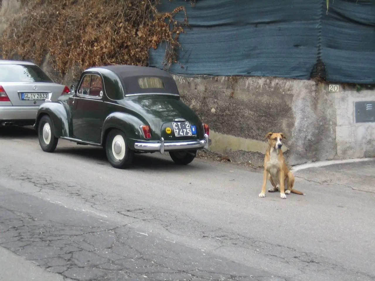 Fiat Topolino Auto D`Epoca Anno 1952, foto 9
