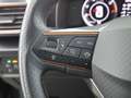 CUPRA Formentor 2.0 TDI LED RADAR NAVI R-CAM ASSIST PDC Grau - thumbnail 17
