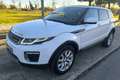 Land Rover Range Rover Evoque 2.0TD4 SE 4WD 150 Blanco - thumbnail 3