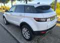 Land Rover Range Rover Evoque 2.0TD4 SE 4WD 150 Blanco - thumbnail 5