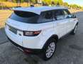 Land Rover Range Rover Evoque 2.0TD4 SE 4WD 150 Blanco - thumbnail 7