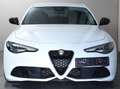 Alfa Romeo Giulia Giulia Diesel 2.2 Diesel AT8-Q4 Veloce Weiß - thumbnail 1