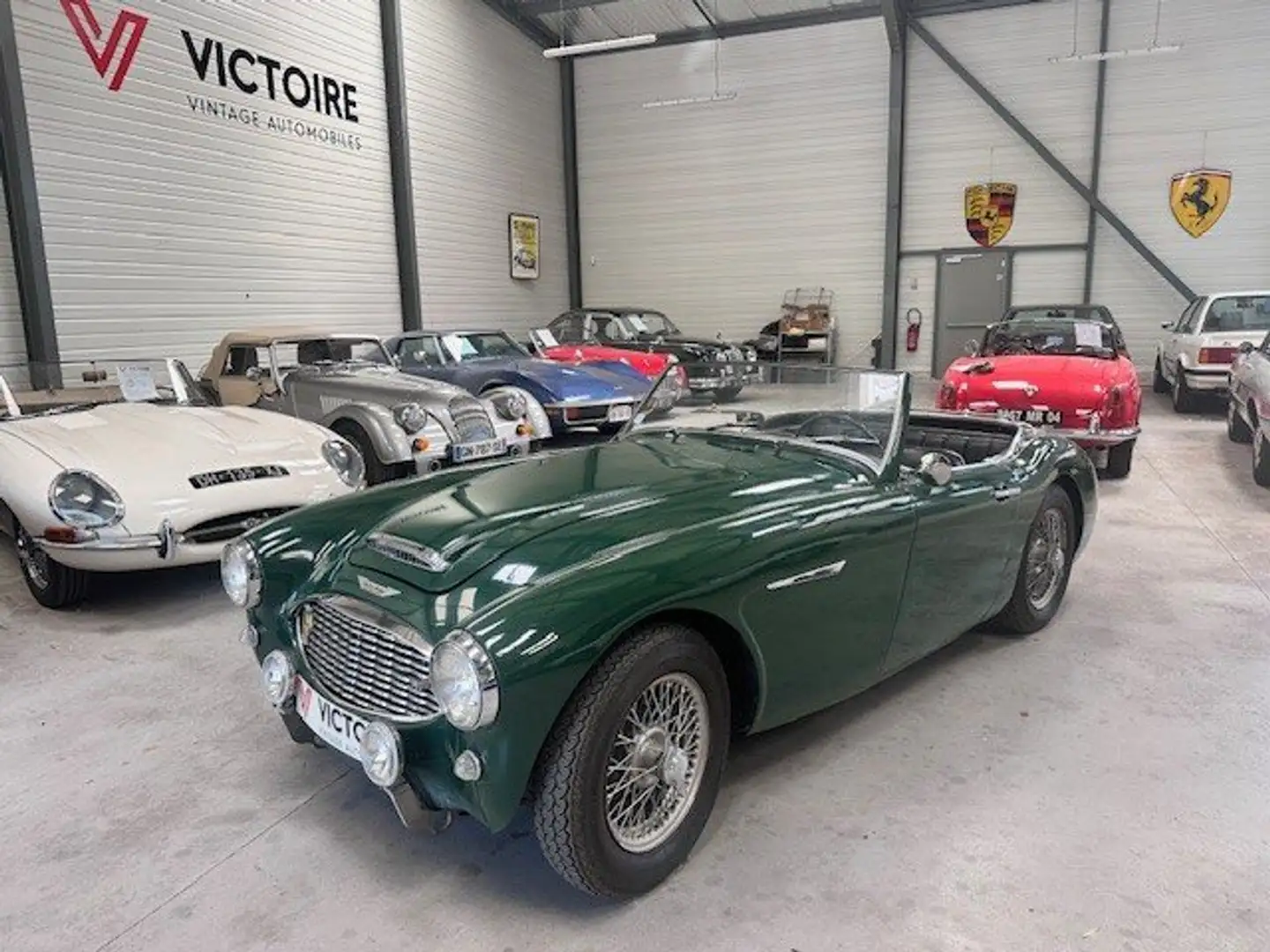Austin-Healey 3000 100/6 BN4 Groen - 1