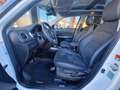 Suzuki Vitara Vitara 1.5 140V Hybrid A/T Starview - thumbnail 5