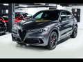 Alfa Romeo Stelvio QUADRIFOGLIO 2.9T V6 AT8-Q4GRIGIO VESUVIOCARBON Gris - thumbnail 6