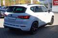 CUPRA Ateca 2.0 TSI DSG 4Drive LED AHK ACC Navi Kamera Weiß - thumbnail 6