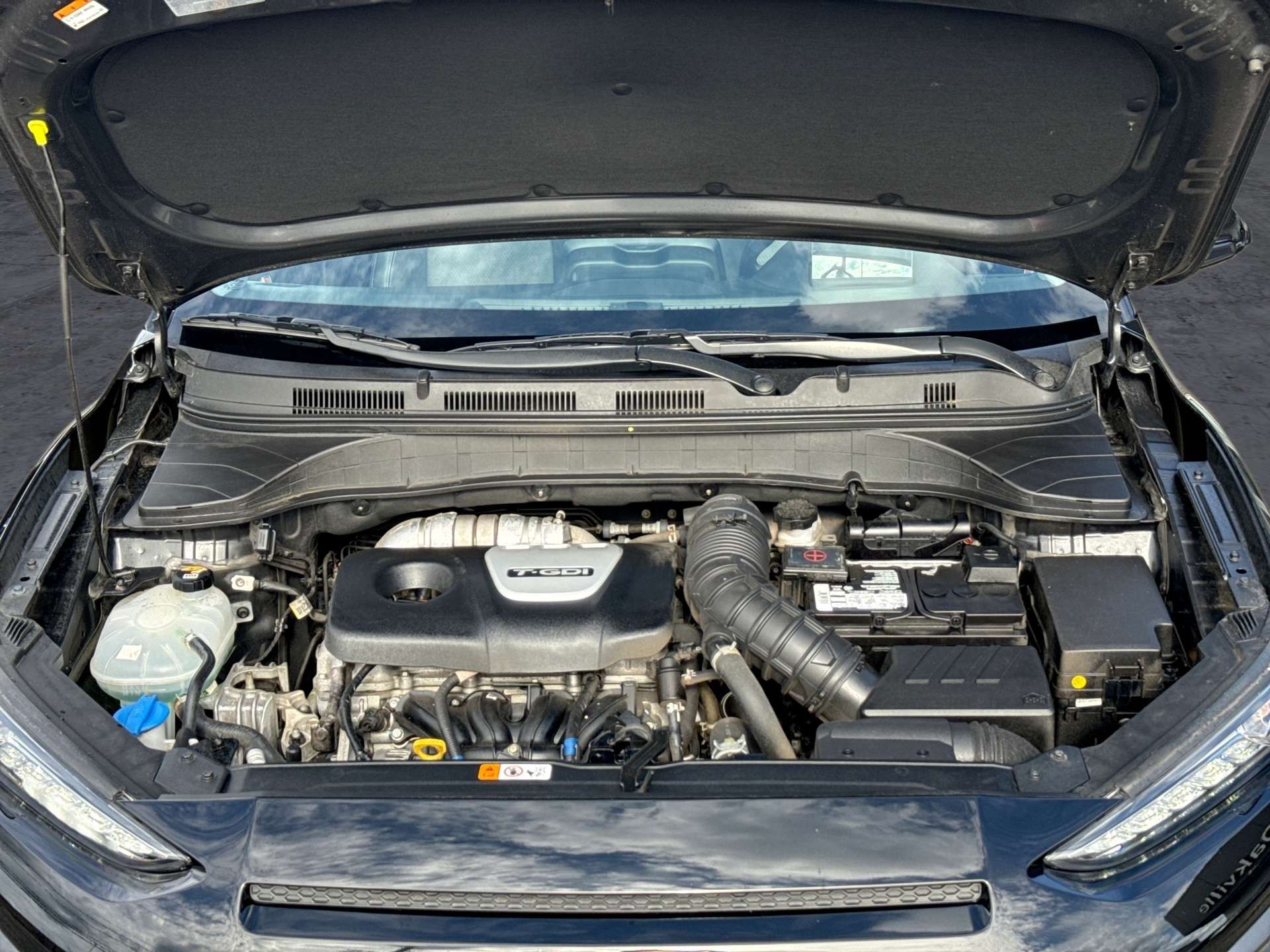 used 2020 Hyundai Kona car, priced at $20,950