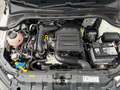 Skoda Fabia Combi 1.0 TSI Business Edition | PANORAMADAK | CAR Wit - thumbnail 21