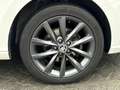 Skoda Fabia Combi 1.0 TSI Business Edition | PANORAMADAK | CAR Wit - thumbnail 20