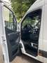 Mercedes-Benz Sprinter III Kasten 315CDI Automatik Klima Lang Blanc - thumbnail 9