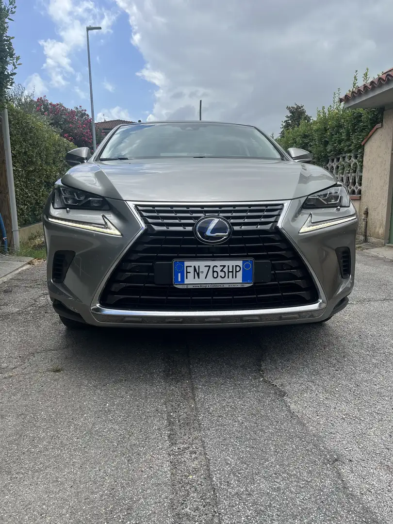Lexus NX 300h Executive - 2