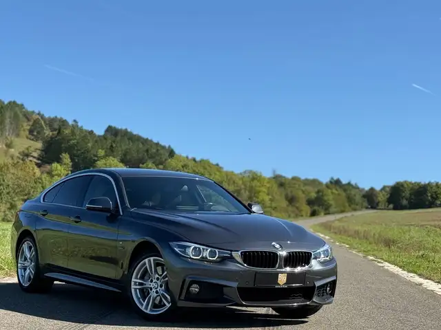 BMW 440 i Gran Coupe xDrive/M-Sport/Business/Cam/1HD/