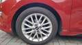 Kia Rio 1.4 Spirit Roşu - thumbnail 8