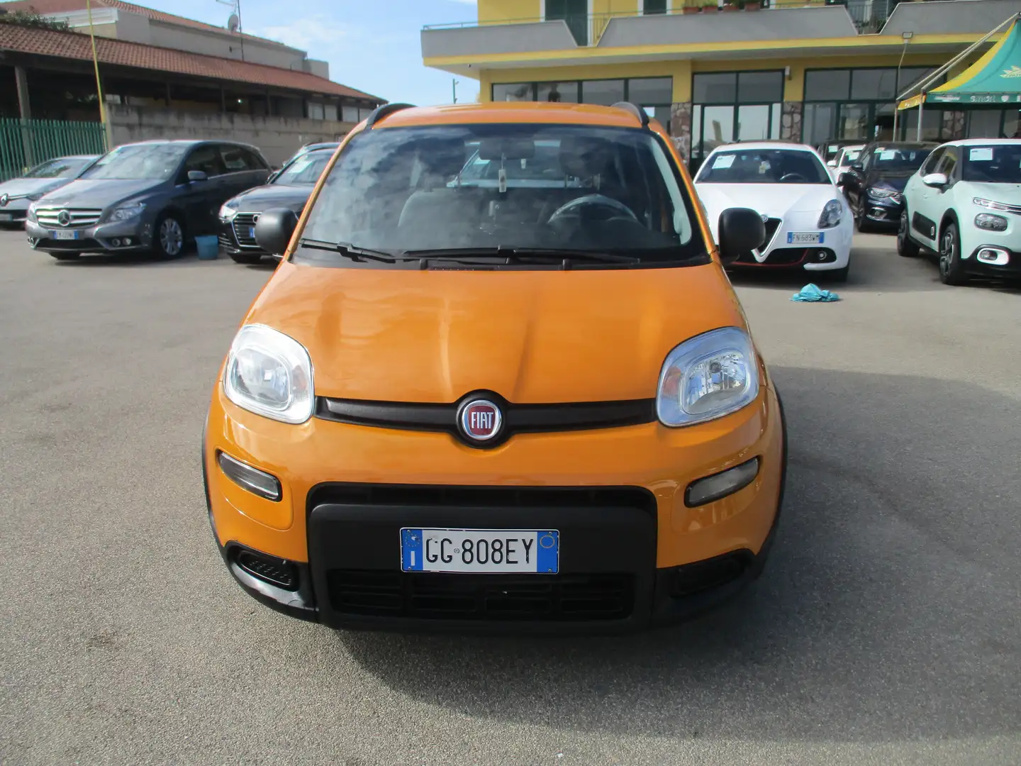 Fiat Panda PANDA 1.0 HYBRID CITY CROSS 38000 KM Arancione - 2
