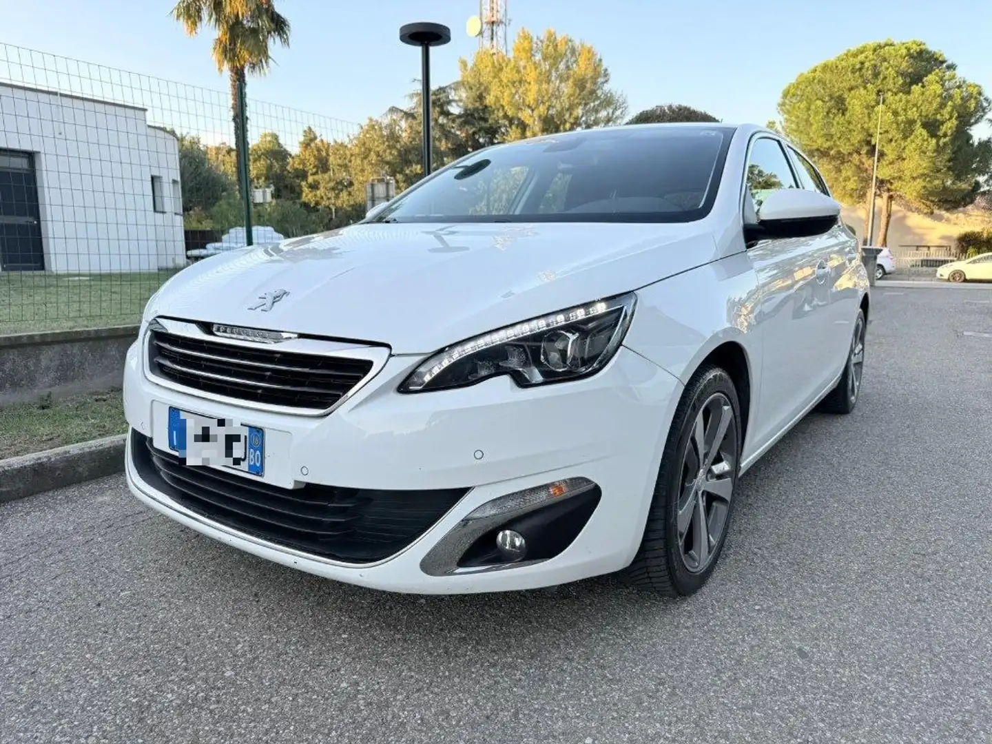 Peugeot 308 BlueHDi 120 S&S Allure NAVI - PELLE/ALC. - BT - 17 Bianco - 2