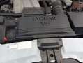 Jaguar X-Type 3.0 V6 4x4 Aut. Executive , Topzustand Argent - thumbnail 8