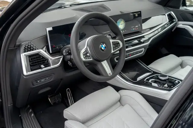 BMW X5 X5 view 12