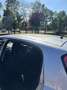 Fiat Punto Evo 5p 1.3 mjt Dynamic eco s&s 85cv - thumbnail 11