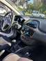 Fiat Punto Evo 5p 1.3 mjt Dynamic eco s&s 85cv - thumbnail 9