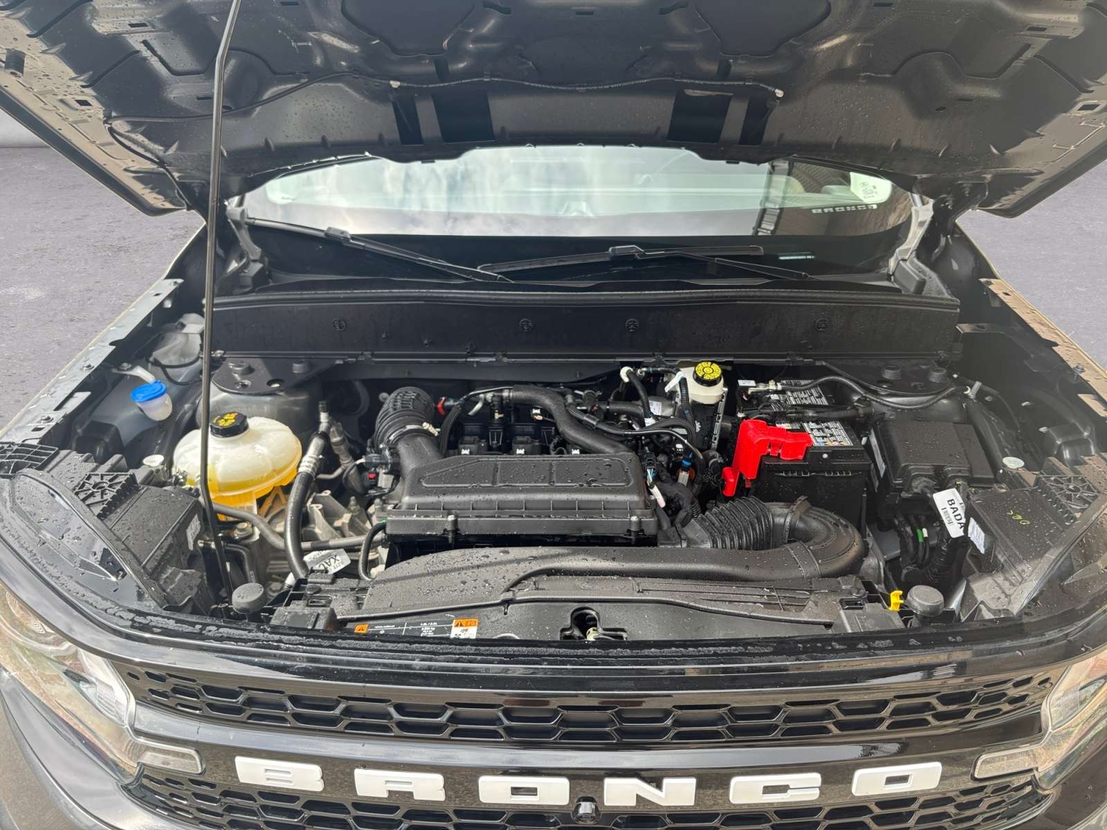used 2025 Ford Bronco Sport car, priced at $34,888