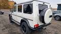 Mercedes-Benz G 350 BlueTec Edition 35 Designo Glasdach Memory Alb - thumbnail 5