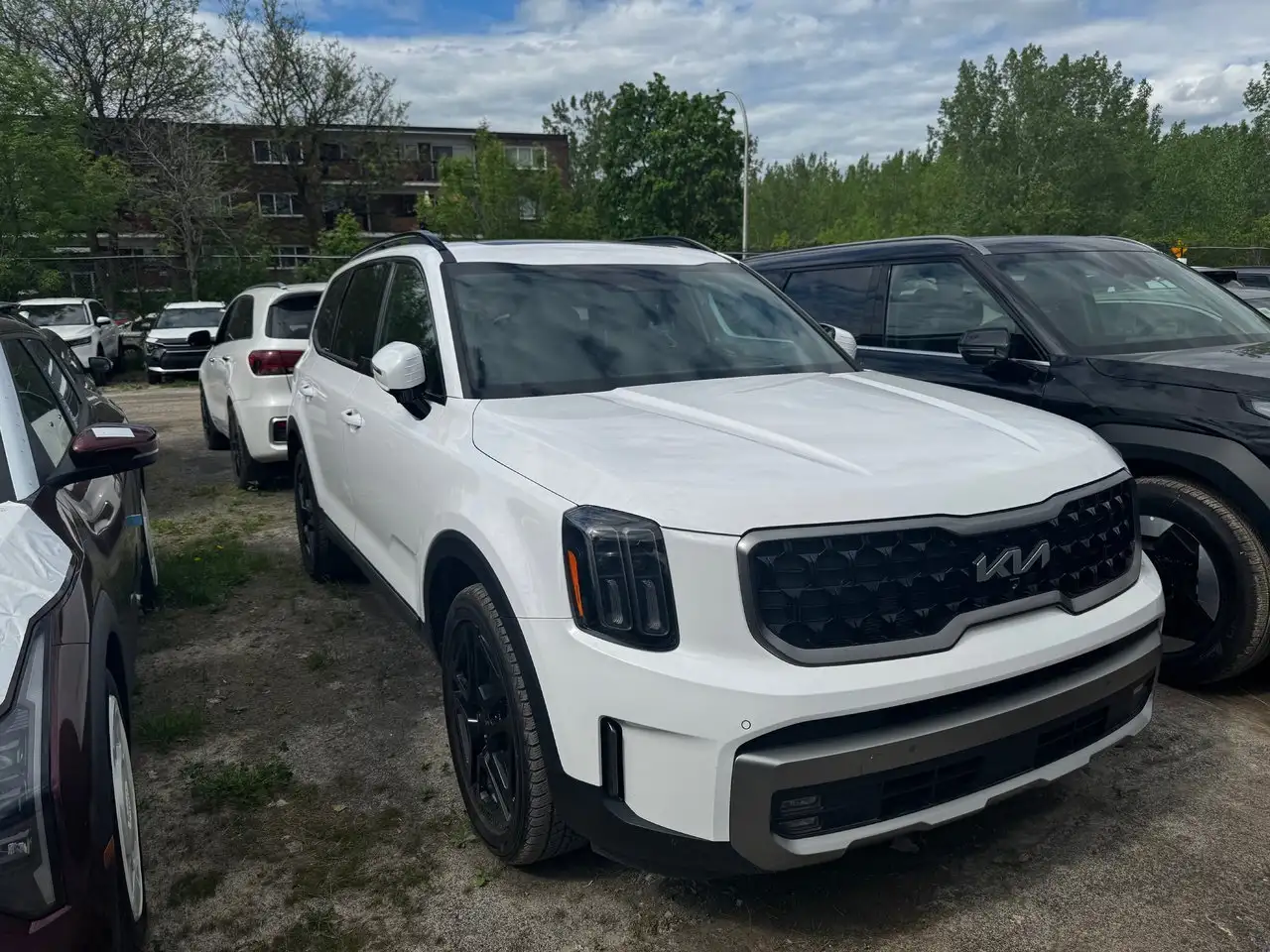 2023 Kia Telluride