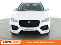 Jaguar F-Pace 30d R-Sport AWD Aut.*NAV*XENON*TEMPO*PDC*SHZ Weiß - thumbnail 9