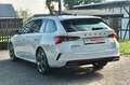 Skoda Octavia Combi RS Plus PANO HUD ACC MEMORY KESSY Weiß - thumbnail 9