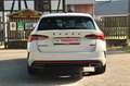 Skoda Octavia Combi RS Plus PANO HUD ACC MEMORY KESSY Weiß - thumbnail 8