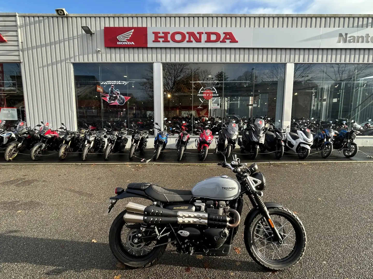 Triumph Street Scrambler Gris - 1