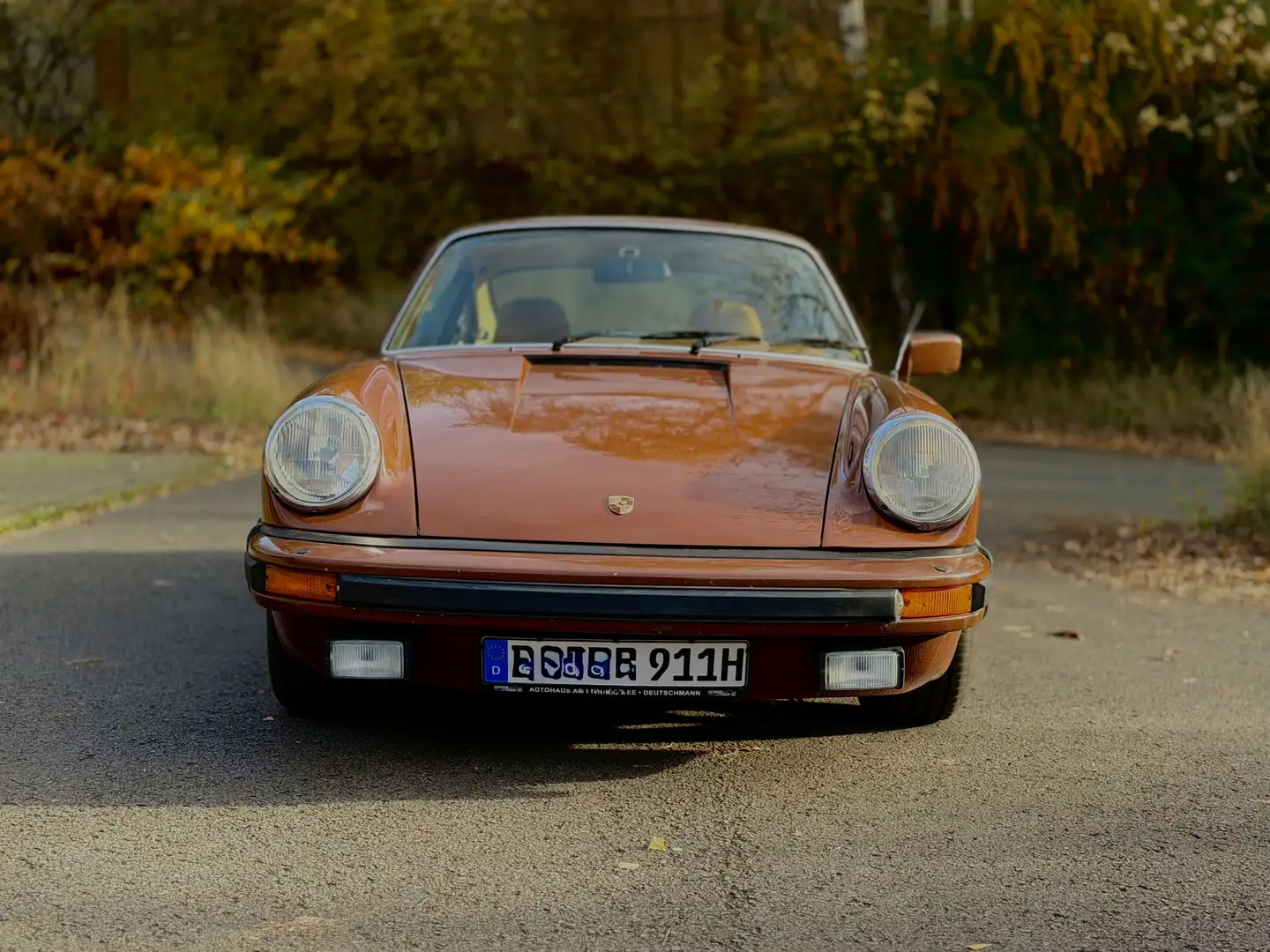 Porsche 911 Braun - 2
