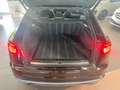 Audi Q8 50 TDI quattro 3x S Line UPE 119.717,00 EUR Maro - thumbnail 12