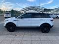 Land Rover Range Rover Evoque 2.0 eD4 5p. SE Dynamic Bianco - thumbnail 8