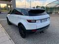 Land Rover Range Rover Evoque 2.0 eD4 5p. SE Dynamic Bianco - thumbnail 7