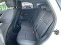 Land Rover Range Rover Evoque 2.0 eD4 5p. SE Dynamic Bianco - thumbnail 10