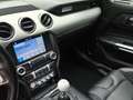Ford Mustang Fastback 5.0 Ti-VCT GT - thumbnail 13