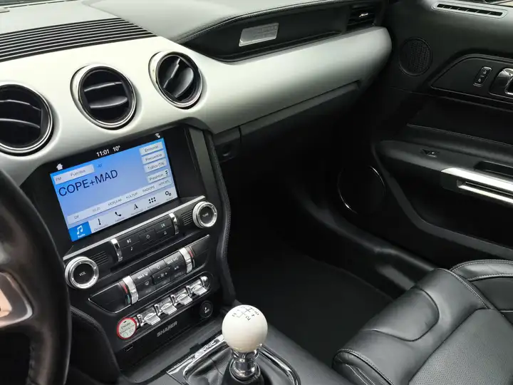 Ford Mustang Fastback 5.0 Ti-VCT GT 2017, foto 13