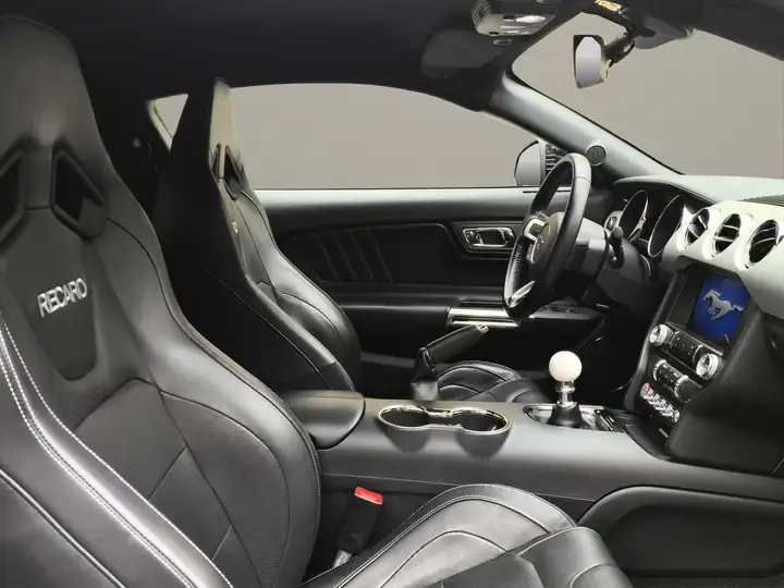 Ford Mustang Fastback 5.0 Ti-VCT GT 2017, foto 10