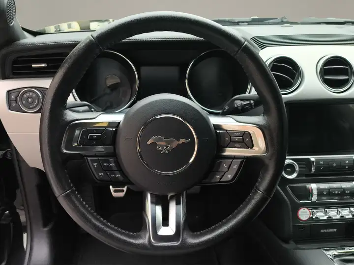 Ford Mustang Fastback 5.0 Ti-VCT GT 2017, foto 12