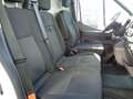 Ford Transit 330 2.0TDCi EcoBlue MHEV 130CV L2H2 Trend Bianco - thumbnail 15