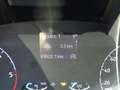 Ford Transit 330 2.0TDCi EcoBlue MHEV 130CV L2H2 Trend Bianco - thumbnail 11
