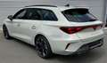 CUPRA Leon 1.5 eTSI MATRIX AHK KAMERA Grau - thumbnail 8