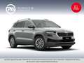Skoda Karoq 4x4 Selection TDI DSG Silber - thumbnail 1