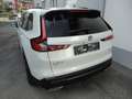 Honda CR-V 2,0 i-MMD Hybrid Advance AWD Aut. Weiß - thumbnail 5