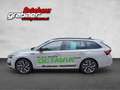 Skoda Octavia 2.0 TDI 110 kW Sportline Grau - thumbnail 2