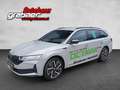 Skoda Octavia 2.0 TDI 110 kW Sportline Grau - thumbnail 1