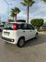 Fiat Panda 1.3 mjt 16v Easy s&s 95cv my19 - thumbnail 5