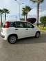 Fiat Panda 1.3 mjt 16v Easy s&s 95cv my19 - thumbnail 7