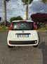 Fiat Panda 1.3 mjt 16v Easy s&s 95cv my19 - thumbnail 4
