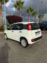 Fiat Panda 1.3 mjt 16v Easy s&s 95cv my19 - thumbnail 6